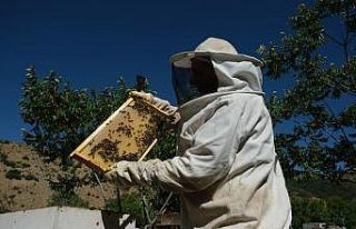 Çayırlı’da arıcılara devlet desteği