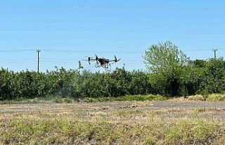 Çeltikler Düzce’de dron ile dikilecek