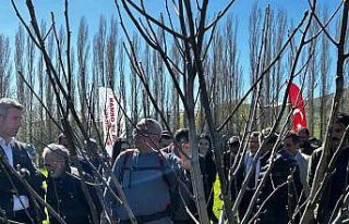 Çiftçilere budama eğitimi