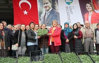Çiftçinin fidesi İzmit Belediyesinden