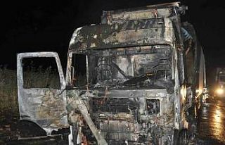 Cizre’de seyir halindeki tır alev alev yandı