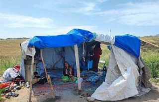 Çocuklarının bakmadığı yaşlı kadını çadırda...