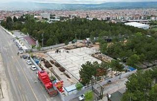 Çorum’da sokak hayvanları için hastane yapılıyor