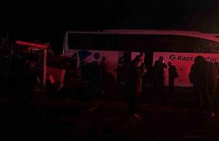 D100’de otobüs ile kamyonet çarpıştı: 1 yaralı