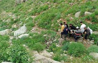 Dağda rahatsızlanan vatandaş ambulans helikopterle...