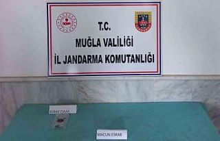 Datça merkezde Jandarmadan esrar operasyonu