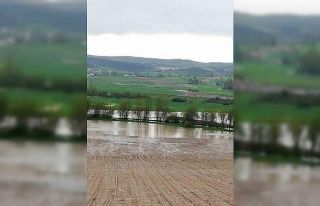 Debisi yükselen çay taştı, tarım arazileri sular...