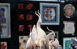 Denizli’nin en büyük sergisi açıldı