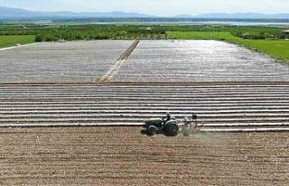 Deprem tarımı da vurdu, mevsimlik işçi bulunamıyor
