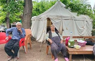 Depremzede dedeyi 410 bin TL dolandırdılar: Adına...