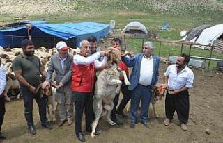 Depremzede yetiştiricilere karşılıksız 43 bin...