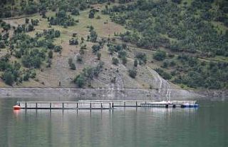 Devletin projeleriyle Şırnak’ta balık hasadı...