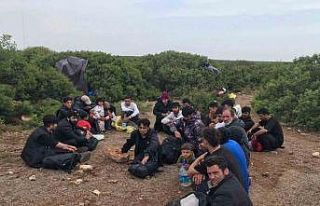 Didim’de 34 düzensiz göçmen yakalandı