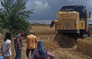 Didim’de hububat ekili araziler denetlendi