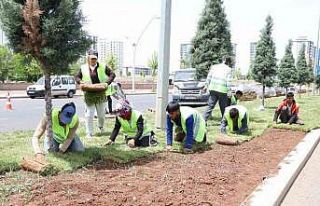 Diyarbakır’da kavşak ve refüjlerde peyzaj çalışmaları...