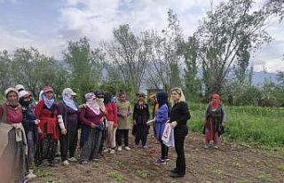 Doğada bulunurken kene popülâsyonuna dikkat!