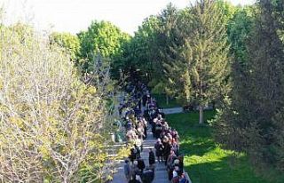 Domates fidesi alabilmek için uzun kuyruklar oluşturdular