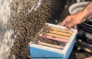 Dükkanını açtığında ilginç bir manzarayla...