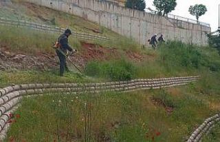 Dulkadiroğlu’nda çevre temizliği