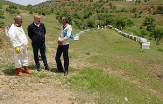 Elazığ Arı Yetiştiricileri Birliği Başkanı...