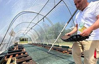 Elazığ Hipodrom Müdürlüğünün üreteceği binlerce...