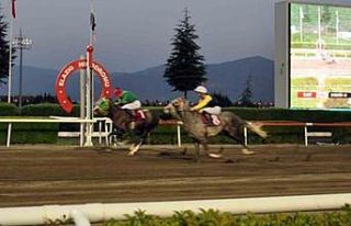 Elazığ Jandarma Koşusu’nu Göbeklitepe Ağası...