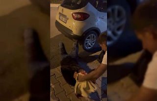 Elazığ’da bir kişiyi silahla yaralayan 2 şüpheli...