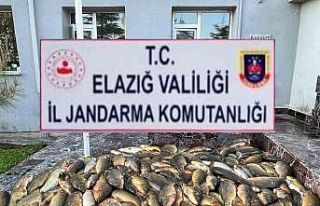 Elazığ’da kaçak balık avı yapan 3 şahsa, 49...
