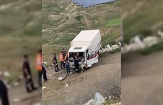 Elazığda kamyonet şarampole uçtu: 1 yaralı