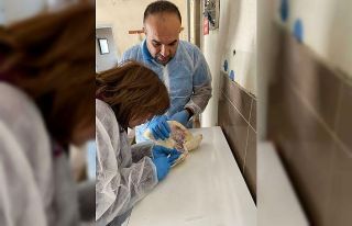 Elazığ’da köy ve ticari tavuk işletmelerinde...