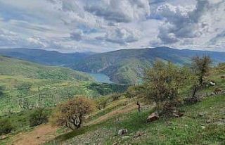 Elazığ’da makinalı toprak işleme çalışmaları...