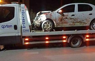 Elazığ’da otomobil koyun sürüsüne daldı: 2...