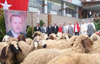 Elazığlı iş adamı, yeniden seçilen Cumhurbaşkanı...