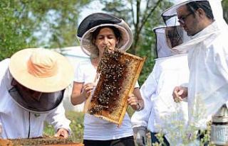 Epilepsi ataklarını önlemede etkili