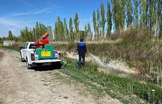 Ereğli Belediyesi sinek ve haşere ile mücadelesini...