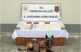 Erzincan’da jandarma ekiplerince 11 faili meçhul...