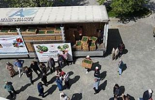 Erzincanlı çiftçilere 1 milyon fide dağıtıldı