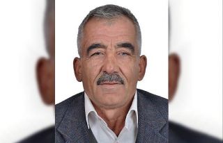 Eşekten düştü, hastanelik oldu