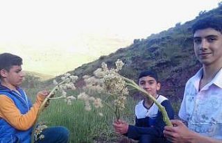 Eşgin tezgâhlara çıktı, demeti 30 lira