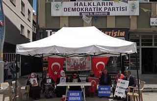 Evladı dağa kaçırılan anne: “Demirtaş’ı...