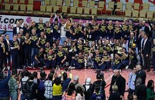 Fenerbahçe Kadın Voleybol Takımı, şampiyonluk...