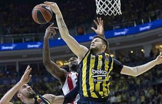 Fenerbahçe’ye Metecan Birsen’den kötü haber