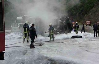 Freni boşalan kimyasal yüklü tır alev alev yandı,...
