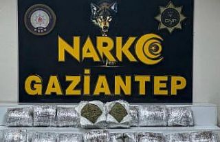 Gaziantep’te 24 kilo skunk ele geçirildi