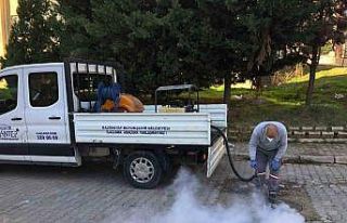 Gaziantep’te haşere ile mücadele