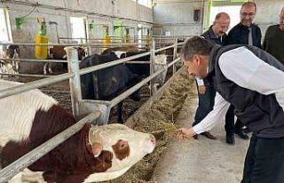 "Geçen yıl Kütahya’da girişimcilere TKDK’dan...