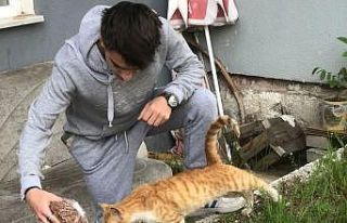 Gediz SHMYO’da sokak hayvanlarına "1 Kap Su,...