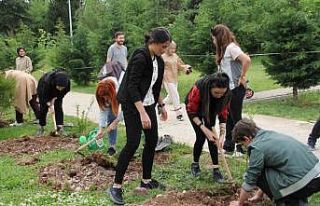 Geleneksel okçuluk turnuvası ve fidan dikme etkinliği...