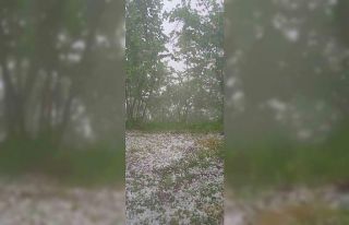 Giresun’un yüksek kesimlerinde Mayıs dolusu şaşırttı