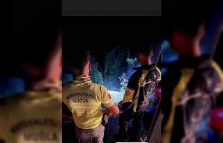 Gökova Turnalı yolunda araç uçtu